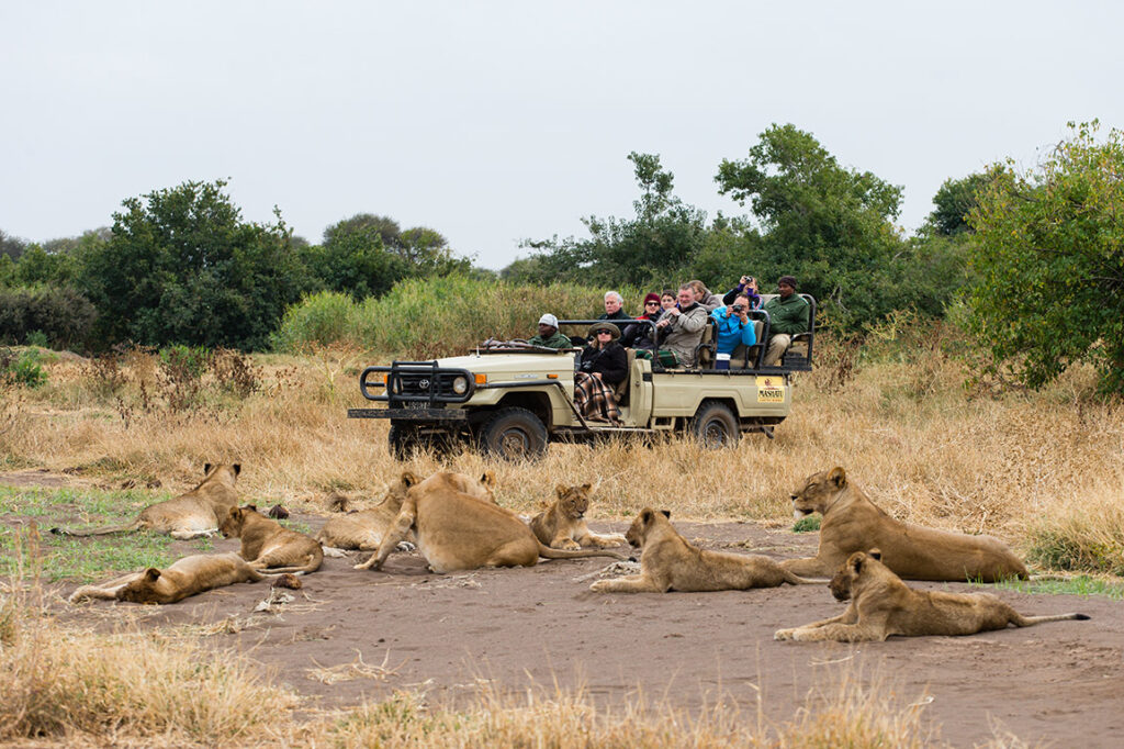 Game drive